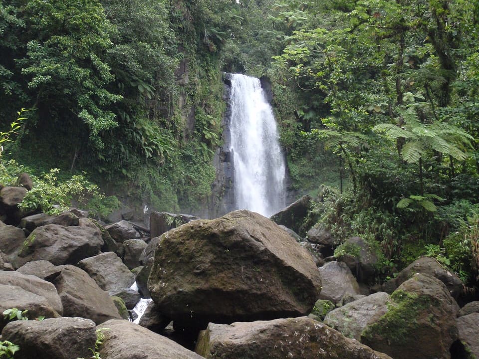 Dominica
