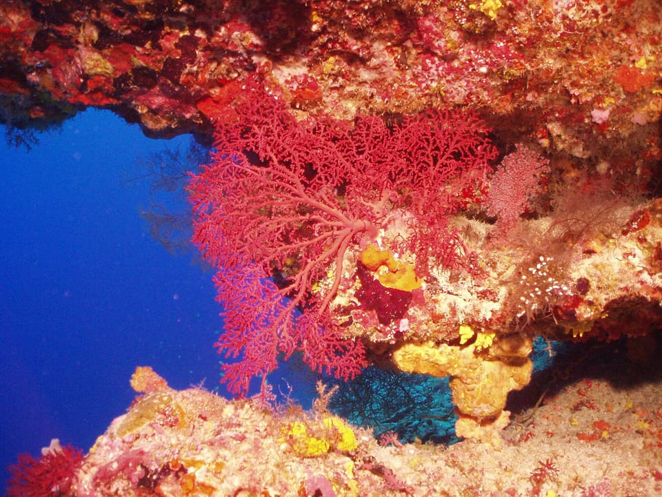 British Indian Ocean Territory