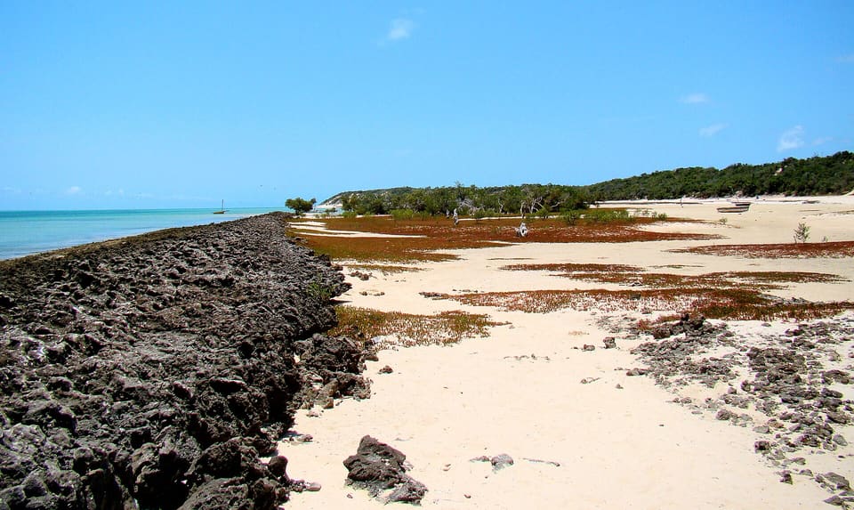 Mozambique