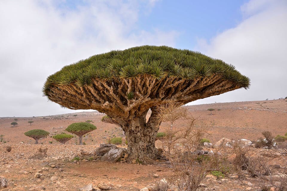 Yemen